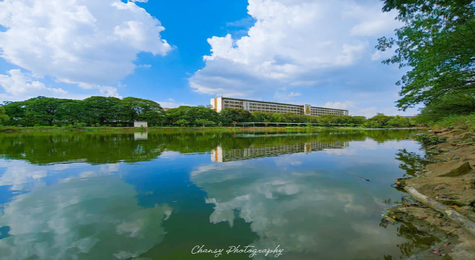 Economic Development