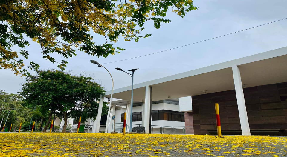 Economic Development