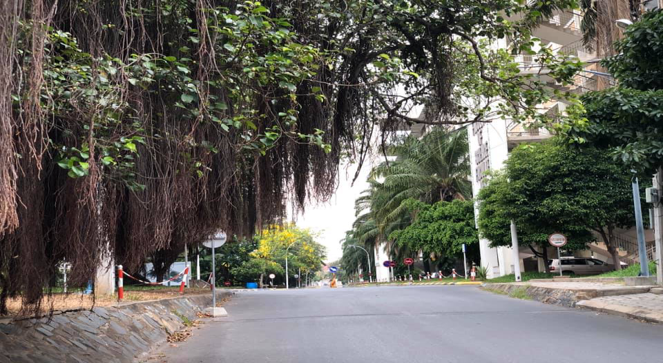 Economic Development